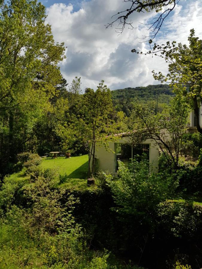 Beautiful Studio Surrounded By Nature Lanet Exterior photo