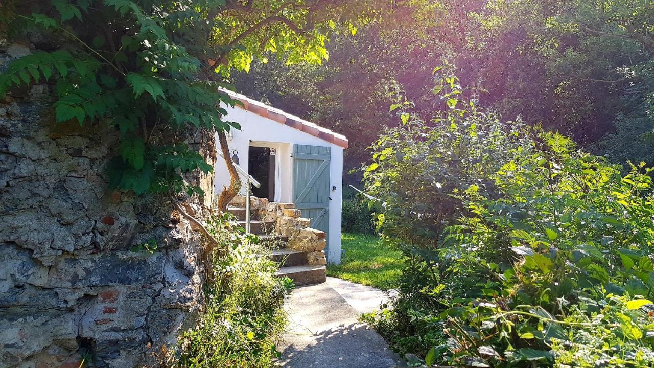 Beautiful Studio Surrounded By Nature Lanet Exterior photo