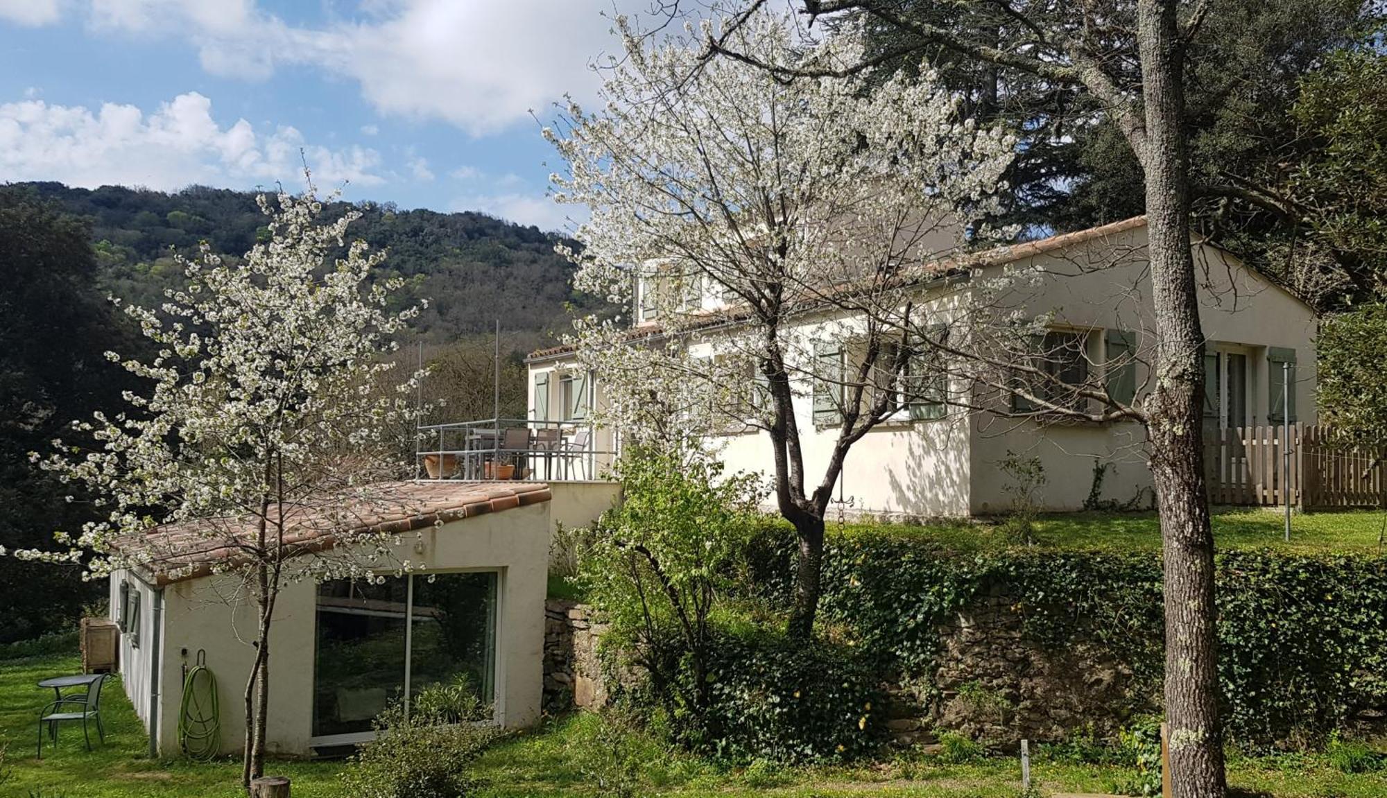 Beautiful Studio Surrounded By Nature Lanet Exterior photo
